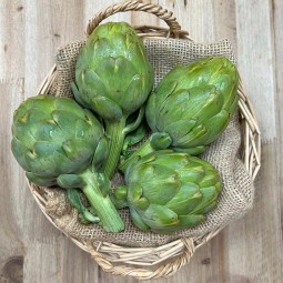 Alcachofas De Verano - Verduras -3- Lo mejor de la fruta