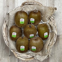 Kiwis Zespri Green XL - Tropicales -1- Lo mejor de la fruta