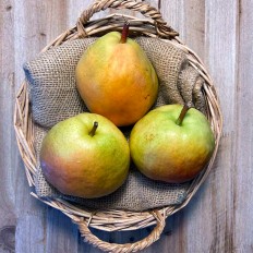 Peras Flor de Invierno - Manzanas, Peras y Plátanos. -1- Lo mejor de la fruta