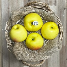 Manzanas Verde Doncella - Manzanas, Peras y Plátanos. -1- Lo mejor de la fruta