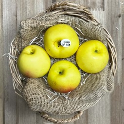 Manzanas Verde Doncella - Manzanas, Peras y Plátanos. -1- Lo mejor de la fruta