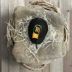 Aguacates Marielita - Tropicales -1- Lo mejor de la fruta