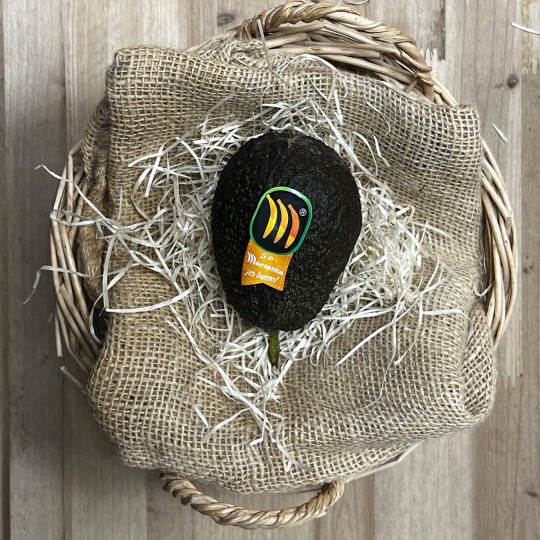 Aguacates Marielita - Tropicales -1- Lo mejor de la fruta