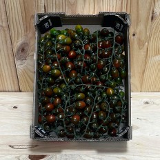 Tomates Cherry Zebra - Selección de Tomates -3- Lo mejor de la fruta