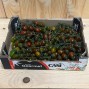 Tomates Cherry Zebra - Selección de Tomates -4- Lo mejor de la fruta