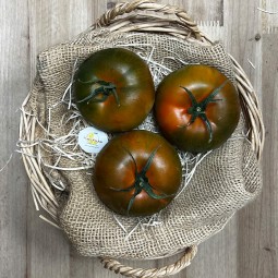 Tomates Lisos - Selección de Tomates -1- Lo mejor de la fruta