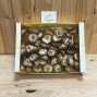 Setas Shiitake - Setas y hongos -3- Lo mejor de la fruta