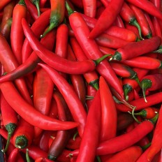 Chiles Rojos Frescos - Verduras -3- Lo mejor de la fruta