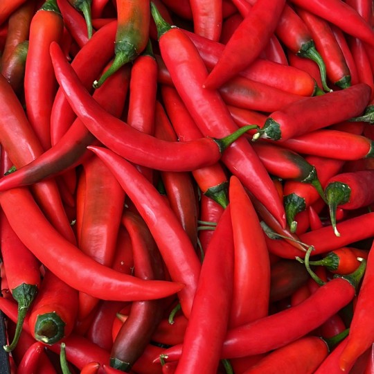 Chiles Rojos Frescos - Verduras -3- Lo mejor de la fruta