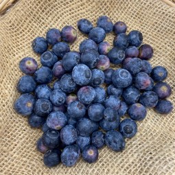 Arándanos - Fruta de Temporada -1- Lo mejor de la fruta