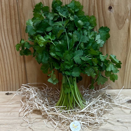 Cilantro Fresco - Hierbas Aromáticas -2- Lo mejor de la fruta