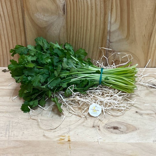 Cilantro Fresco - Hierbas Aromáticas -3- Lo mejor de la fruta