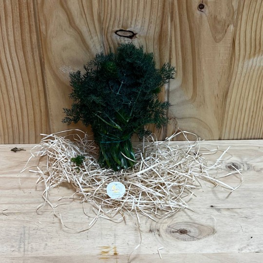 Eneldo Fresco - Hierbas Aromáticas -2- Lo mejor de la fruta