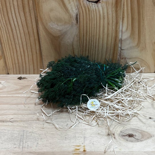 Eneldo Fresco - Hierbas Aromáticas -3- Lo mejor de la fruta