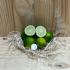 Limas - Cítricos -2- Lo mejor de la fruta