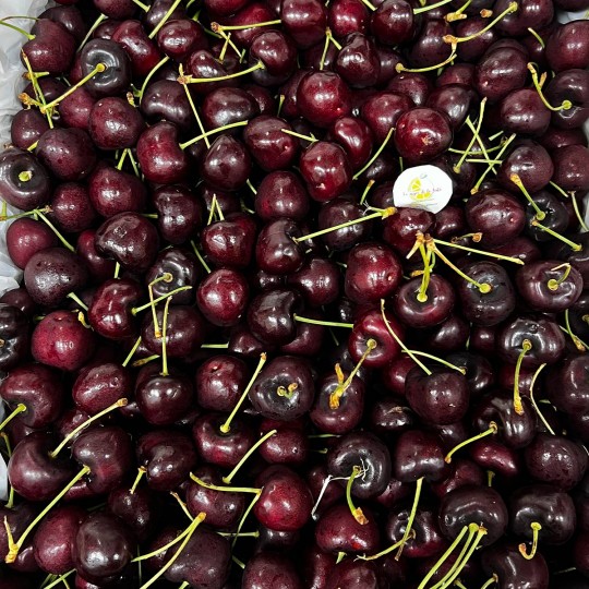 Cerezas Importación - Tropicales -2- Lo mejor de la fruta