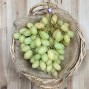 Uvas Blanca Sin Pepitas - Fruta de Temporada -1- Lo mejor de la fruta