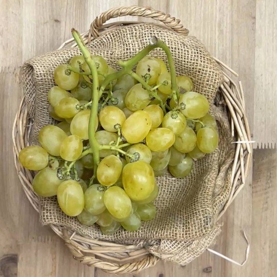 Uva María - Toda la selección de frutas y verduras -1- Lo mejor de la fruta