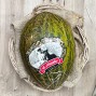 Melón El Abuelo, Piel de Sapo - Todas las Frutas -2- Lo mejor de la fruta