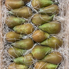 Peras Conferencia - Manzanas, Peras y Plátanos. -2- Lo mejor de la fruta