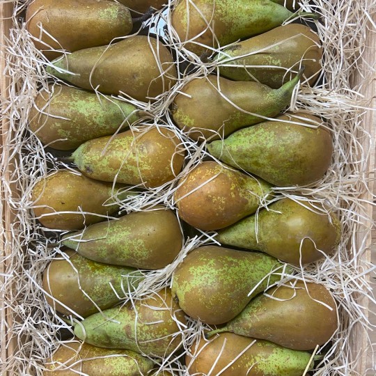 Peras Conferencia 1ª. - Manzanas, Peras y Plátanos. -2- Lo mejor de la fruta