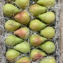 Peras Ercolini - Fruta de Temporada -2- Lo mejor de la fruta
