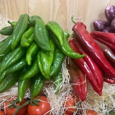 Pimientos Italianos - Verduras -2- Lo mejor de la fruta