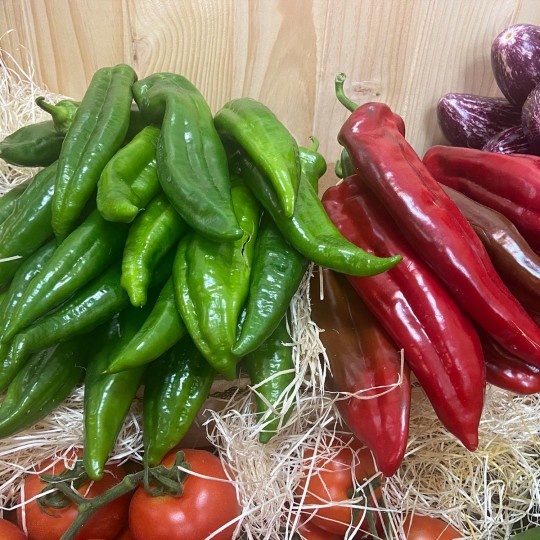 Pimientos Italianos Verdes - Verduras -2- Lo mejor de la fruta