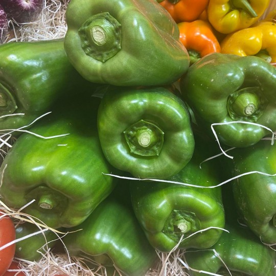 Pimientos Verdes - Verduras -2- Lo mejor de la fruta