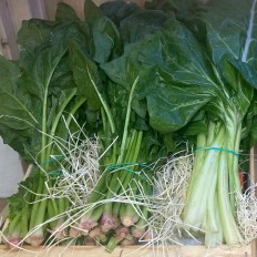 Acelgas - Verduras -3- Lo mejor de la fruta