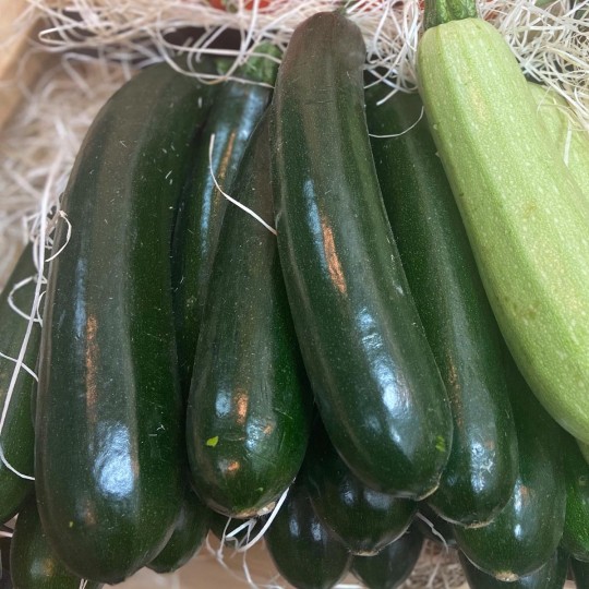 Calabacines - Verduras -2- Lo mejor de la fruta