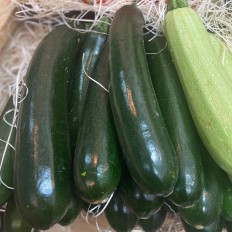 Calabacines Blancos - Verduras -2- Lo mejor de la fruta