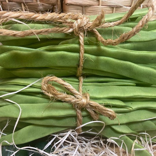 Judías Anchas - Verduras -2- Lo mejor de la fruta