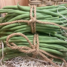 Judías Finas - Verduras -3- Lo mejor de la fruta