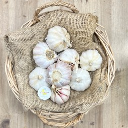 Ajos Secos Morados - Patatas, Cebollas y Ajos -1- Lo mejor de la fruta