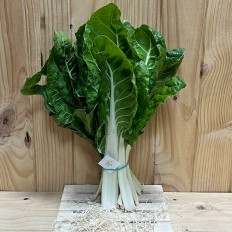 Acelgas - Verduras -1- Lo mejor de la fruta