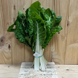 Acelgas - Verduras -1- Lo mejor de la fruta