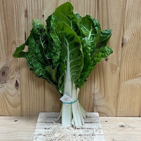 Acelgas - Verduras -1- Lo mejor de la fruta