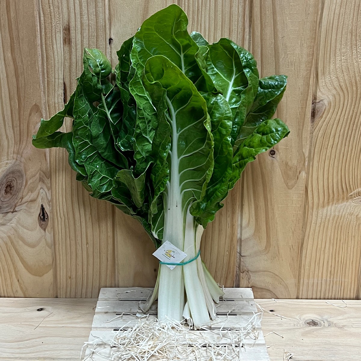 Acelgas - Verduras -1- Lo mejor de la fruta