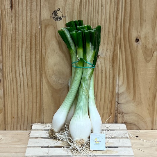 Cebollas Tiernas - Patatas, Cebollas y Ajos -1- Lo mejor de la fruta