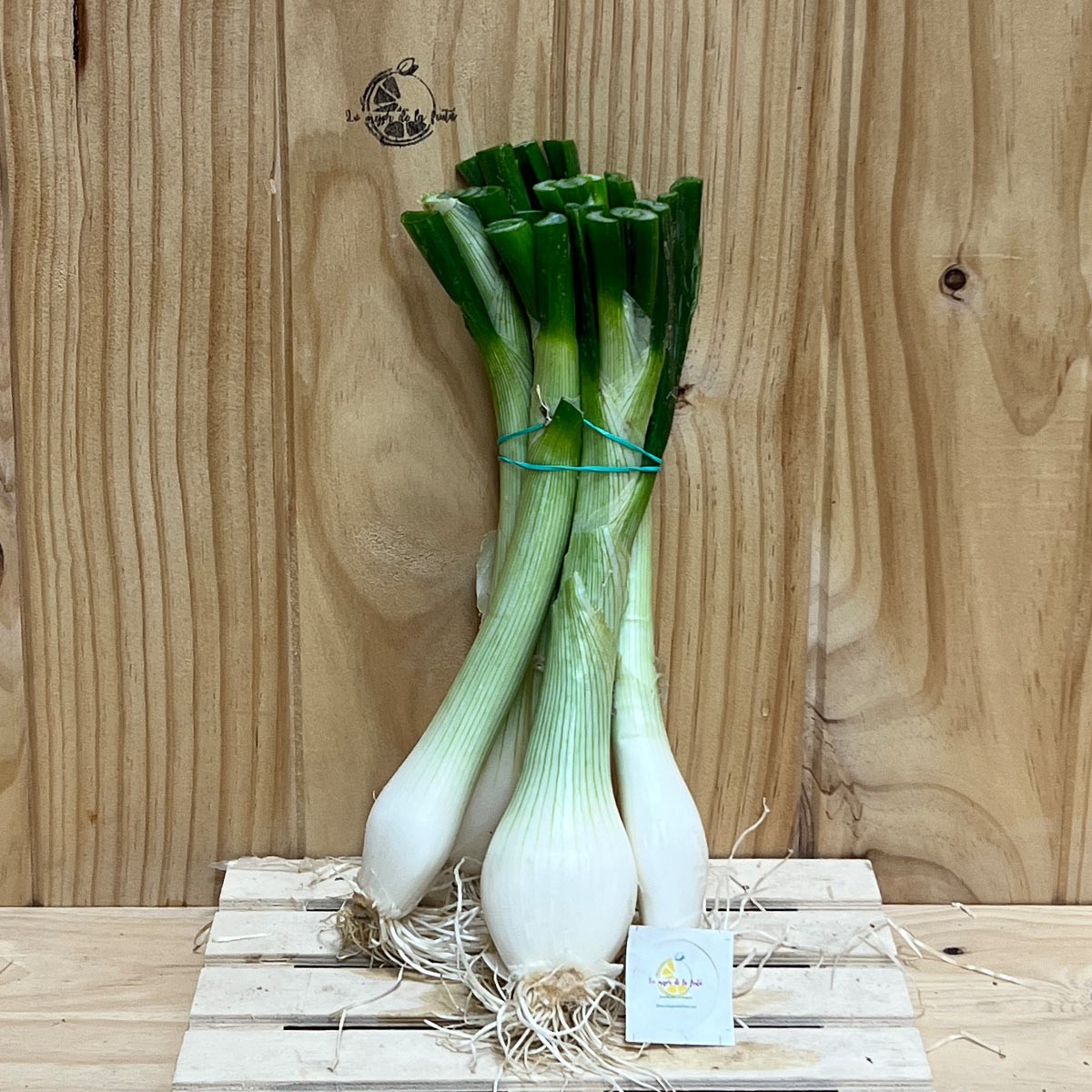 Cebollas Tiernas - Patatas, Cebollas y Ajos -1- Lo mejor de la fruta