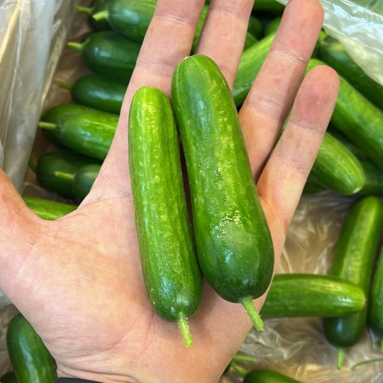 Pepinos Snack - Verduras -2- Lo mejor de la fruta