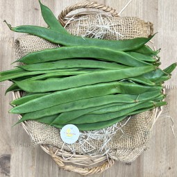 Judías Anchas - Verduras -1- Lo mejor de la fruta