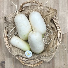 Nabos tiernos - Verduras -1- Lo mejor de la fruta