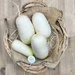 Nabos tiernos - Verduras -1- Lo mejor de la fruta