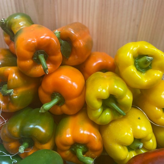 Pimientos Amarillos - Verduras -5- Lo mejor de la fruta