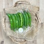 Guisantes Frescos - Verduras -1- Lo mejor de la fruta
