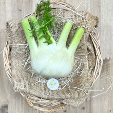 Hinojo fresco - Todas Las Verduras y Hortalizas -1- Lo mejor de la fruta