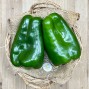 Pimientos Verdes - Verduras -1- Lo mejor de la fruta