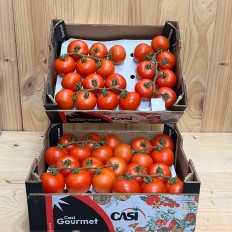 Tomates de Rama - Selección de Tomates -6- Lo mejor de la fruta